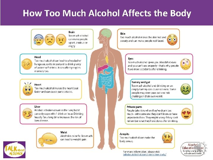 How Too Much Alcohol Affects the Body How Too Much Alcohol Affects the Body
