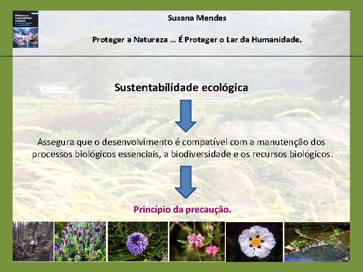 Susana Mendes Proteger a Natureza … É Proteger o Lar da Humanidade. Sustentabilidade ecológica