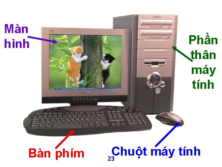 Màn hình Bàn phím Phần thân máy tính Chuột máy tính 23 