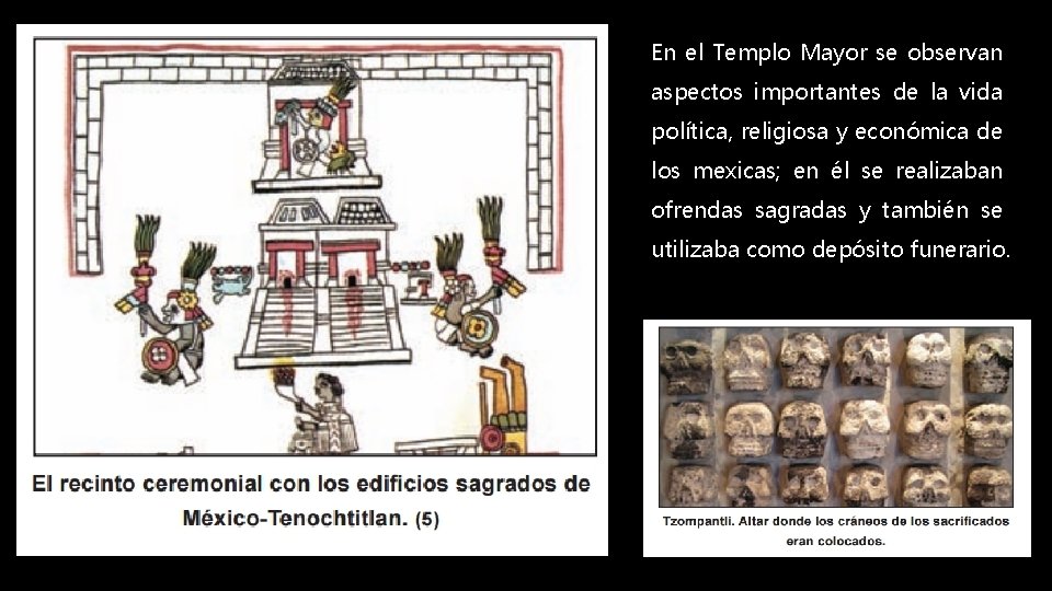 En el Templo Mayor se observan aspectos importantes de la vida política, religiosa y