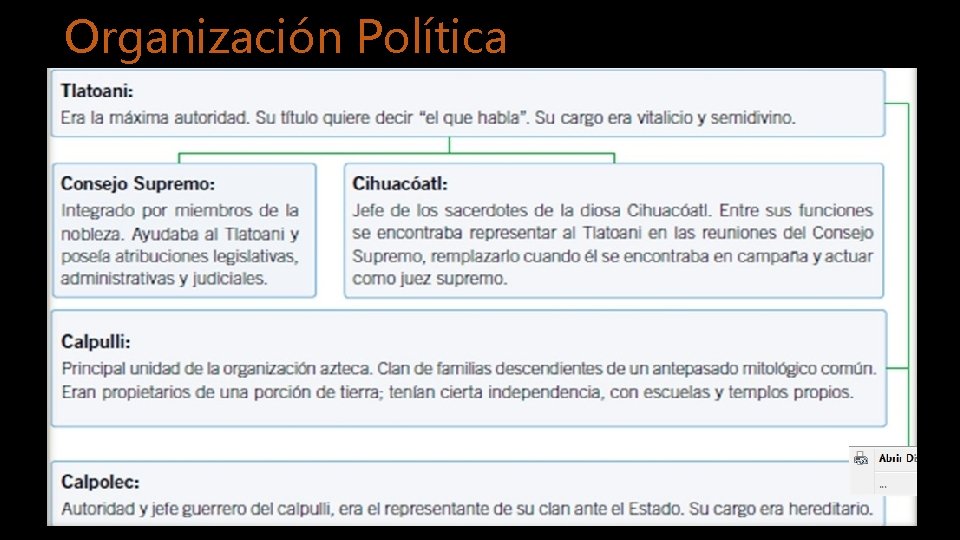 Organización Política 
