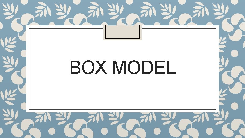BOX MODEL BOX MODEL