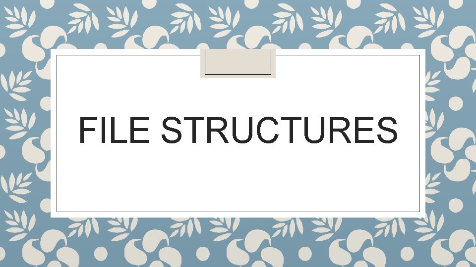 FILE STRUCTURES FILE STRUCTURES