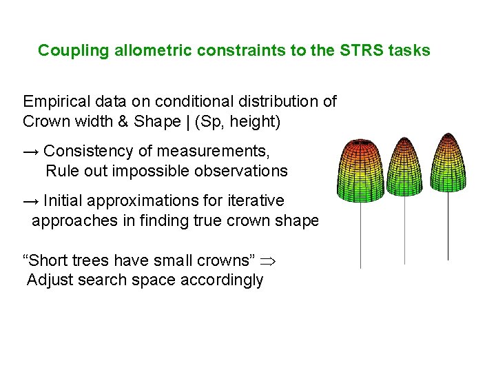 Coupling allometric constraints to the STRS tasks Empirical data on conditional distribution of Crown