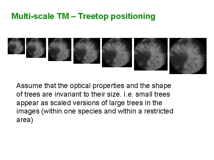 Multi-scale TM – Treetop positioning Assume that the optical properties and the shape of