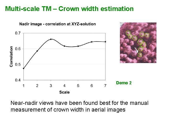 Multi-scale TM – Crown width estimation Demo 2 Near-nadir views have been found best