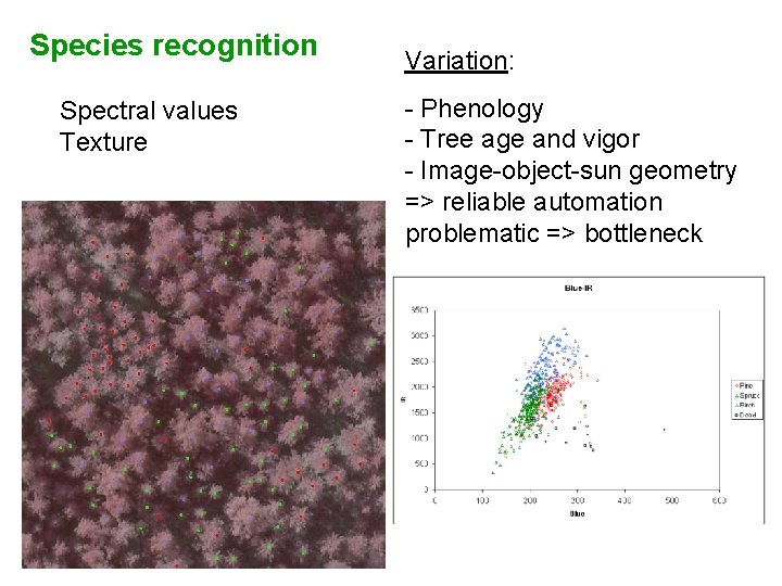 Species recognition Spectral values Texture Variation: - Phenology - Tree age and vigor -