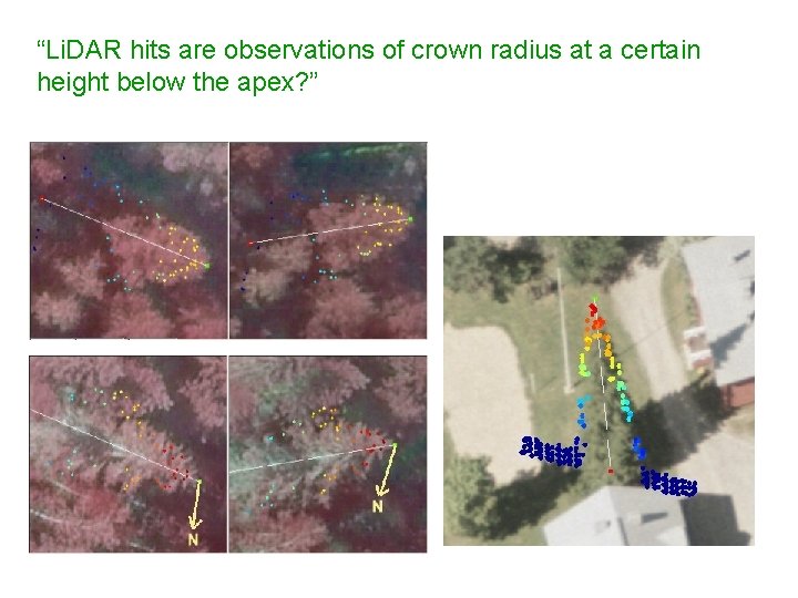“Li. DAR hits are observations of crown radius at a certain height below the