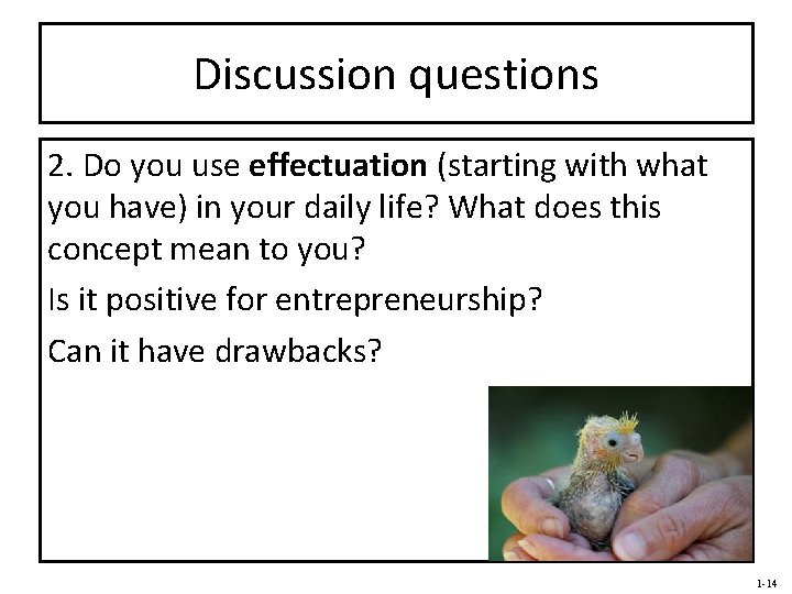 Discussion questions 2. Do you use effectuation (starting with what you have) in your