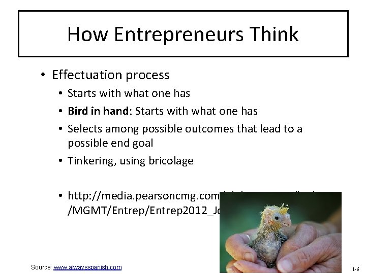 How Entrepreneurs Think • Effectuation process • Starts with what one has • Bird