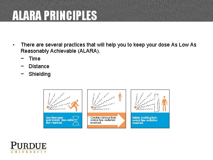 ALARA PRINCIPLES • There are several practices that will help you to keep your
