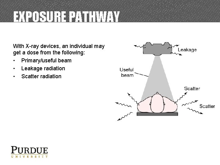 EXPOSURE PATHWAY With X-ray devices, an individual may get a dose from the following: