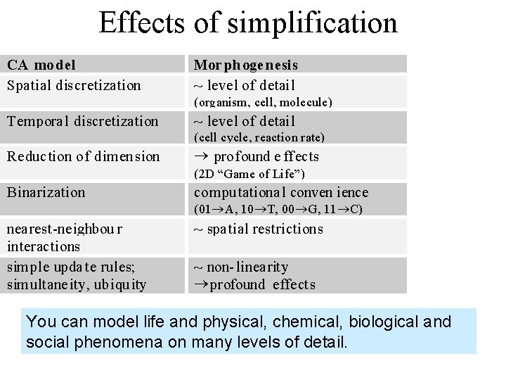 Effects of simplification CA mo del Spatial discretization Mor ph oge nesis ~ level