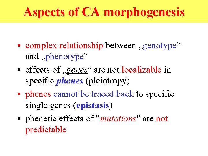 Aspects of CA morphogenesis • complex relationship between „genotype“ and „phenotype“ • effects of