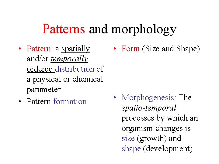 Patterns and morphology • Pattern: a spatially and/or temporally ordered distribution of a physical