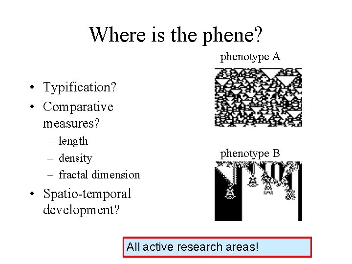 Where is the phene? phenotype A • Typification? • Comparative measures? – length –