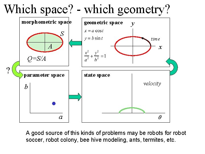 Which space? - which geometry? morphometric space geometric space S y time A x