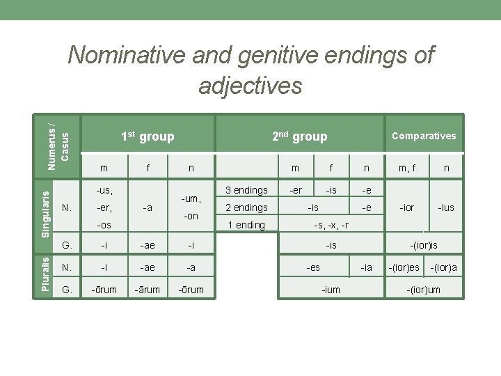 Pluralis Singularis Numerus / Casus Nominative and genitive endings of adjectives 1 st group Pluralis Singularis Numerus / Casus Nominative and genitive endings of adjectives 1 st group