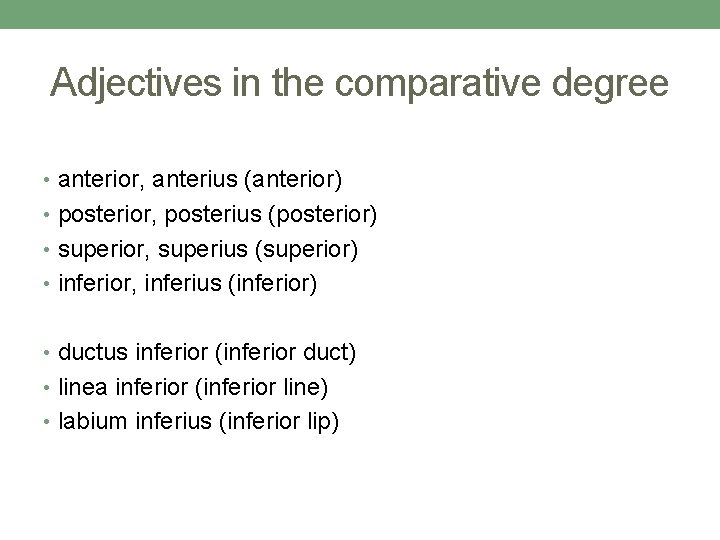 Adjectives in the comparative degree • anterior, anterius (anterior) • posterior, posterius (posterior) • Adjectives in the comparative degree • anterior, anterius (anterior) • posterior, posterius (posterior) •