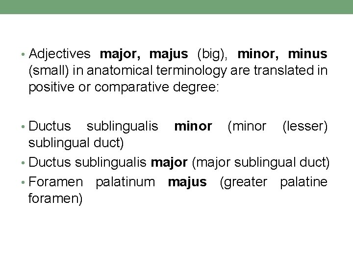 • Adjectives major, majus (big), minor, minus (small) in anatomical terminology are translated • Adjectives major, majus (big), minor, minus (small) in anatomical terminology are translated