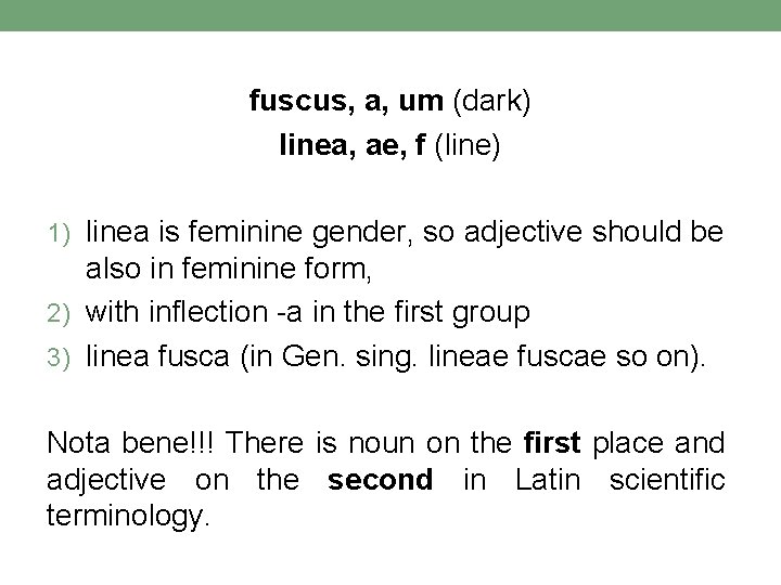 fuscus, a, um (dark) linea, ae, f (line) 1) linea is feminine gender, so fuscus, a, um (dark) linea, ae, f (line) 1) linea is feminine gender, so