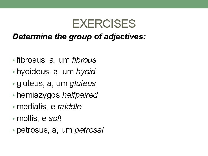 EXERCISES Determine the group of adjectives: • fibrosus, a, um fibrous • hyoideus, a, EXERCISES Determine the group of adjectives: • fibrosus, a, um fibrous • hyoideus, a,