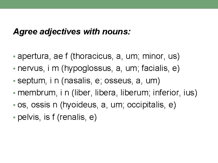 Agree adjectives with nouns: • apertura, ae f (thoracicus, a, um; minor, us) • Agree adjectives with nouns: • apertura, ae f (thoracicus, a, um; minor, us) •
