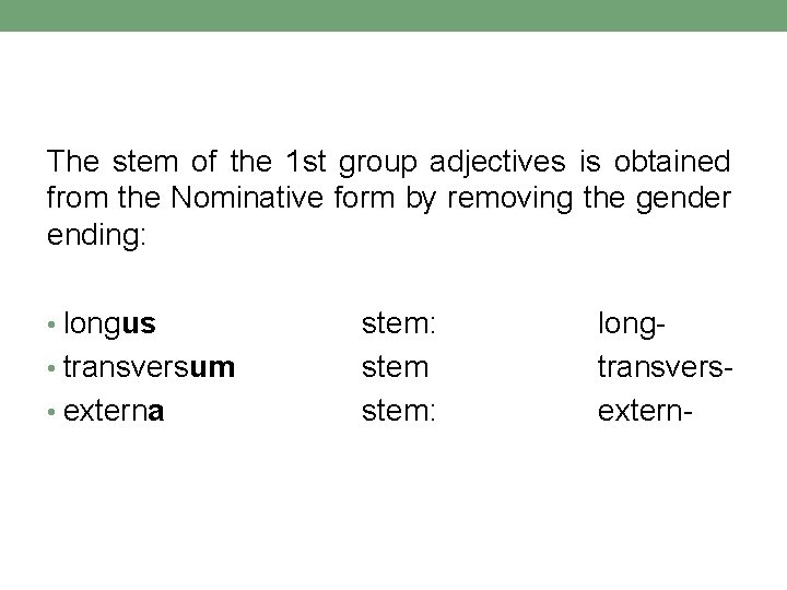 The stem of the 1 st group adjectives is obtained from the Nominative form The stem of the 1 st group adjectives is obtained from the Nominative form