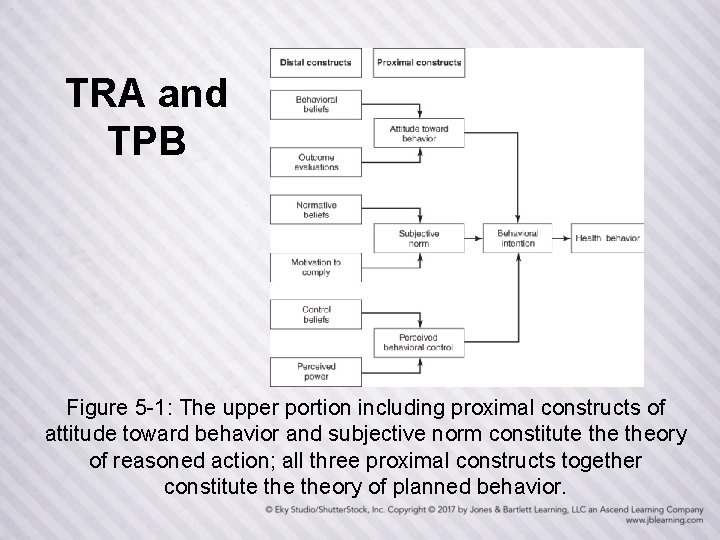 TRA and TPB Figure 5 -1: The upper portion including proximal constructs of attitude