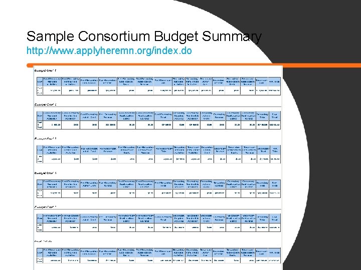 Sample Consortium Budget Summary http: //www. applyheremn. org/index. do 