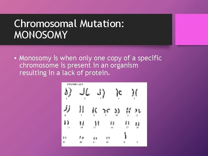 Chromosomal Mutation: MONOSOMY • Monosomy is when only one copy of a specific chromosome