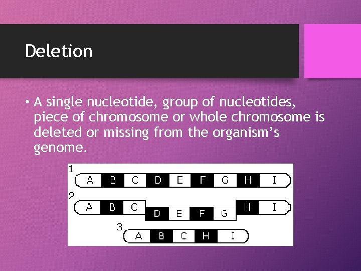 Deletion • A single nucleotide, group of nucleotides, piece of chromosome or whole chromosome