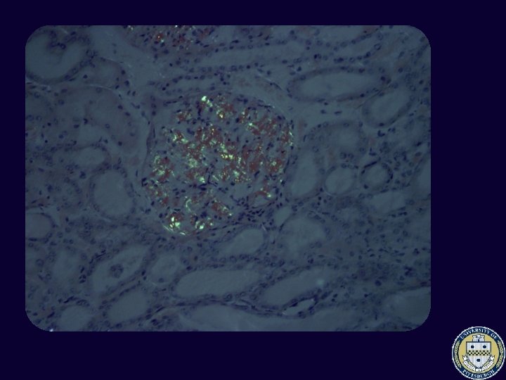 Pathology High Resolution Image Quality in Digital Pathology from a pathologists