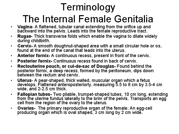  • • • Terminology The Internal Female Genitalia Vagina- A flattened, tubular canal