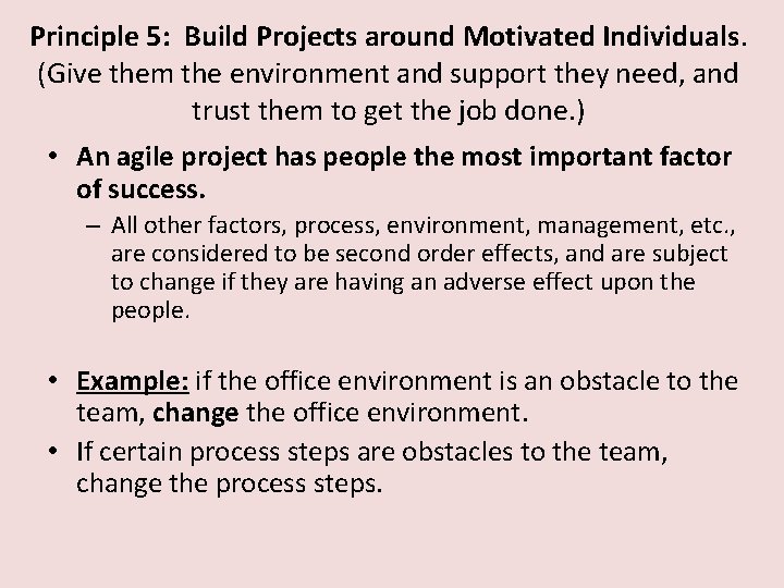 Principle 5: Build Projects around Motivated Individuals. (Give them the environment and support they