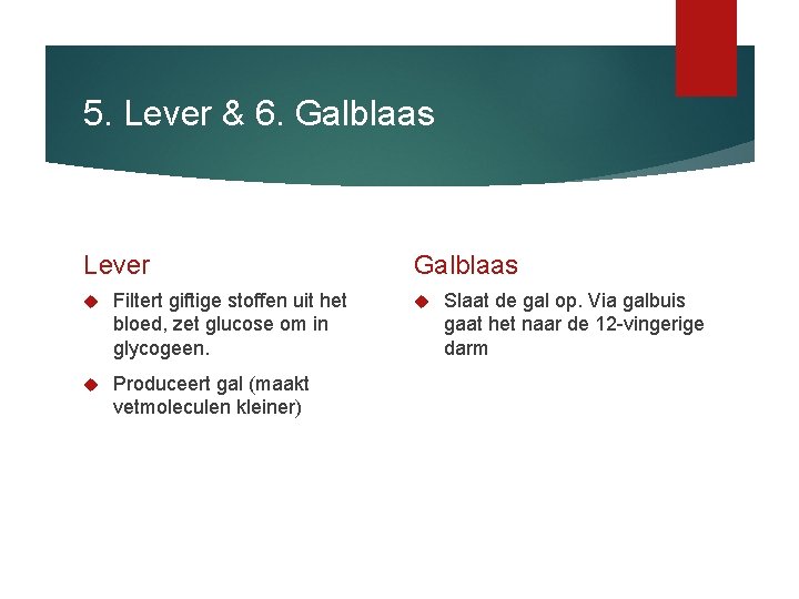 5. Lever & 6. Galblaas Lever Filtert giftige stoffen uit het bloed, zet glucose