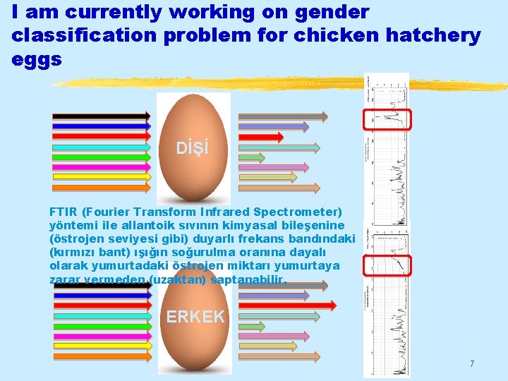 I am currently working on gender classification problem for chicken hatchery eggs DİŞİ FTIR