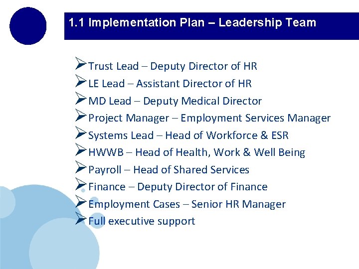 1. 1 Implementation Plan – Leadership Team ØTrust Lead – Deputy Director of HR