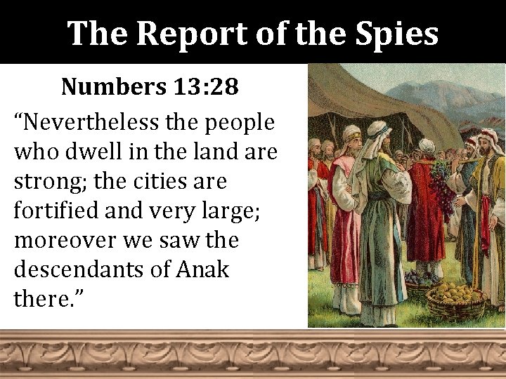The Report of the Spies Numbers 13: 28 “Nevertheless the people who dwell in