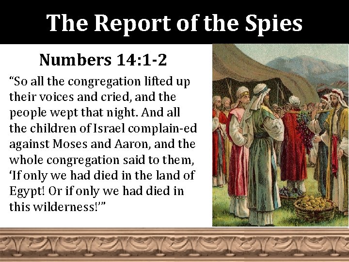 The Report of the Spies Numbers 14: 1 -2 “So all the congregation lifted