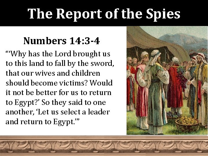 The Report of the Spies Numbers 14: 3 -4 “‘Why has the Lord brought