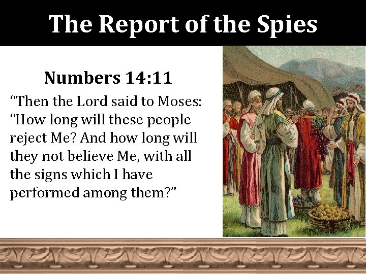 The Report of the Spies Numbers 14: 11 “Then the Lord said to Moses: