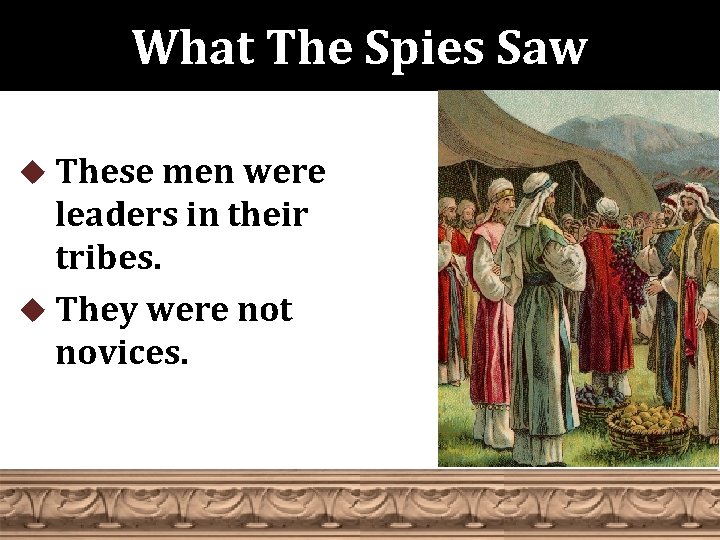 What The Spies Saw u These men were leaders in their tribes. u They