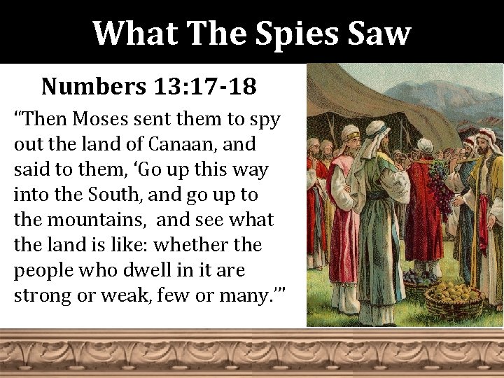 What The Spies Saw Numbers 13: 17 -18 “Then Moses sent them to spy