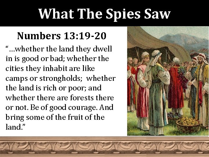 What The Spies Saw Numbers 13: 19 -20 “…whether the land they dwell in