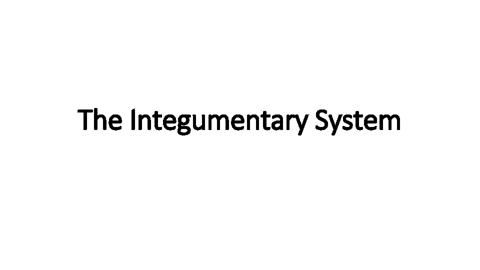 The Integumentary System 