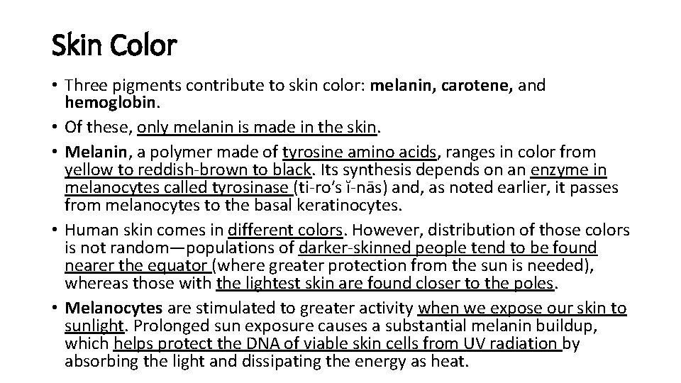 Skin Color • Three pigments contribute to skin color: melanin, carotene, and hemoglobin. •