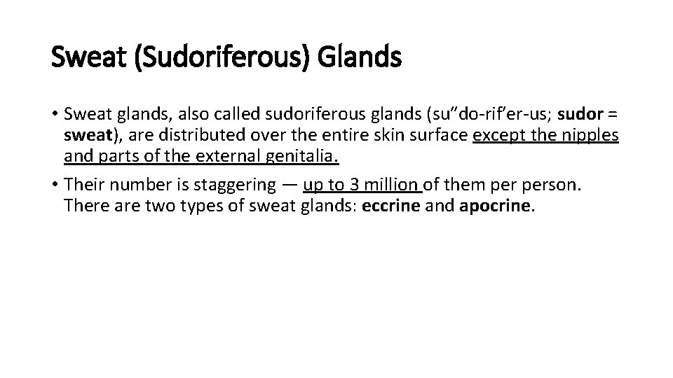 Sweat (Sudoriferous) Glands • Sweat glands, also called sudoriferous glands (su″do-rif′er-us; sudor = sweat),