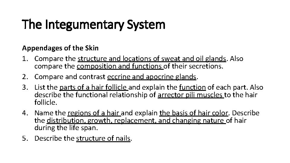 The Integumentary System Appendages of the Skin 1. Compare the structure and locations of