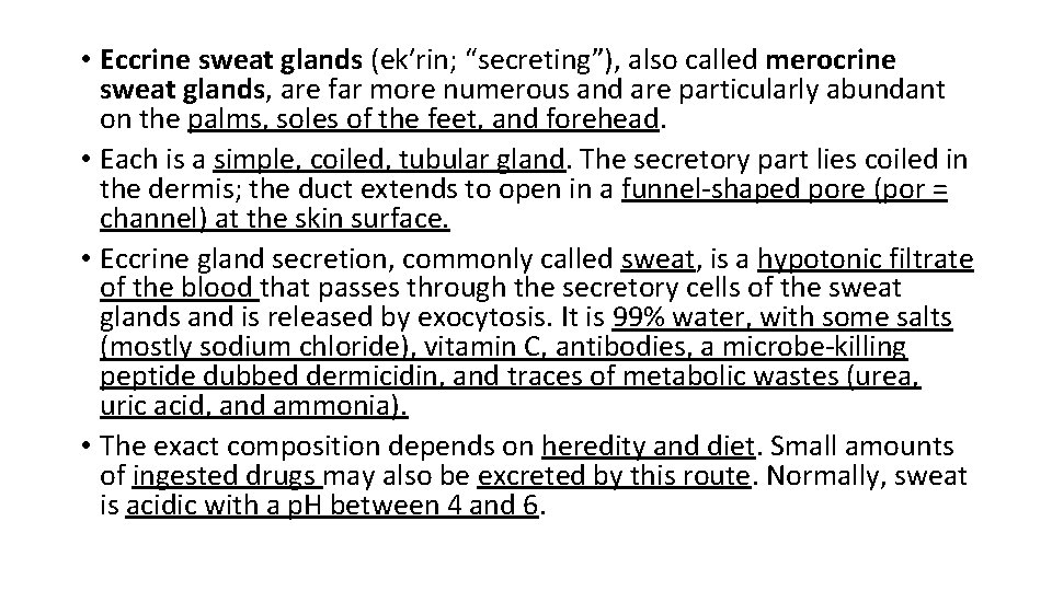  • Eccrine sweat glands (ek′rin; “secreting”), also called merocrine sweat glands, are far